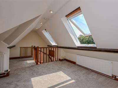 Picture 13